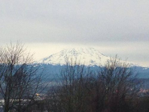 View of a snowy mountain at Pacific Northwest Regional Gathering in Tacoma, WA.