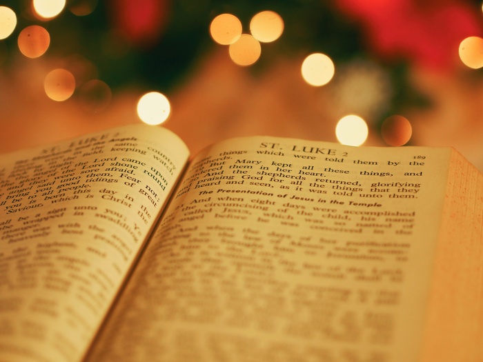 Open book with blurred Christmas tree in the background