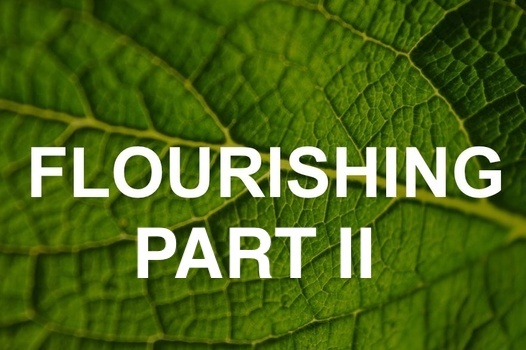 Flourishing Part II