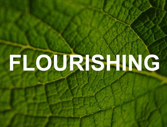 Flourishing
