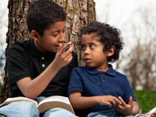 Two young boys sitting in front of a tree reading a book