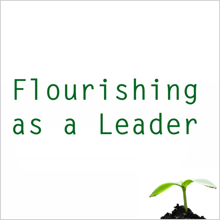 Flourishing as a Leader