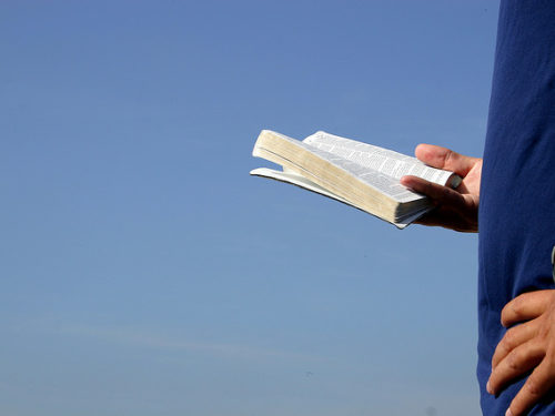 Person standing holding and reading an open book