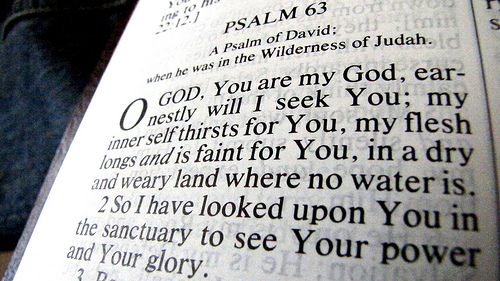 Open bible showing a verse