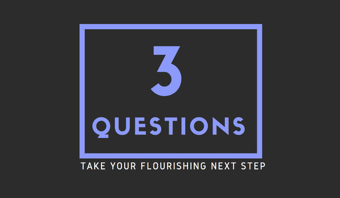 3 Questions - Take your flourishing next step
